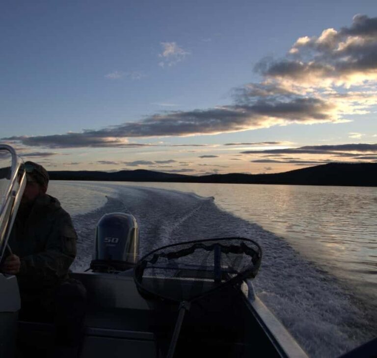 Kiruna: Boat Trip with Coffee and Sandwich - What to Know Before You Go  