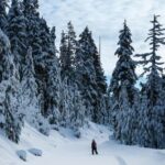 Kiruna: Daytime Snowshoe Hike - Itinerary Breakdown