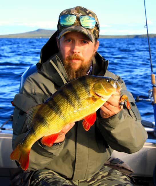 Kiruna: Lapland Fishing Tour with Guide, Gear and Lunch - Practical Details and Value