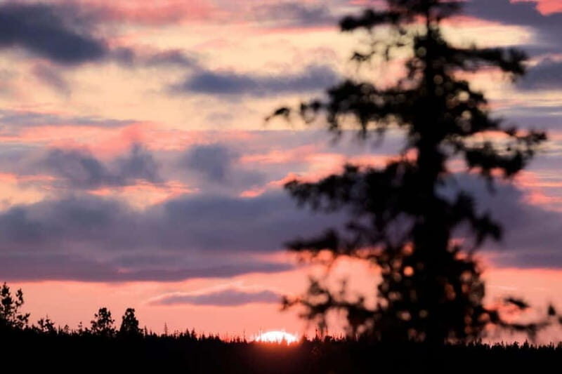 Kiruna: Northern Lights Dog Sled Tour with Swedish Fika - Practical Tips and Considerations