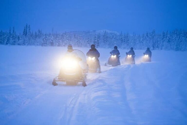 Kiruna: Overnight Snowmobile Tour with Dinner and Sauna - Who Should Consider This Tour?  