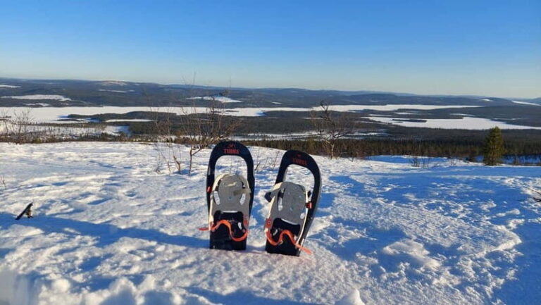 Kiruna: Snowshoe Trek with Warm Beverage and Sandwich - Authentic Reviews: What Travelers Say