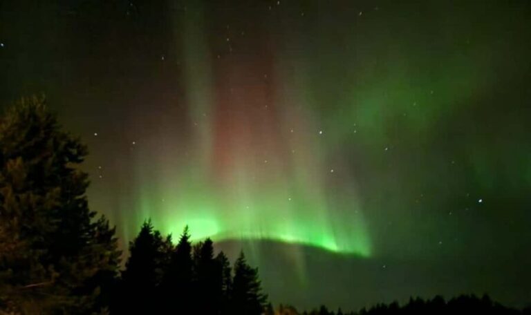 Kiruna: The Amazing Northern Lights - Hunt Tour - Good To Know