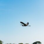 Kissimmee: Everglades Airboat Adventure Tour - Who Will Love This Tour?