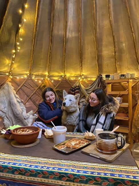 Kittilä / Levi: Husky Farm Guided Tour - Who Is This Tour Best For?