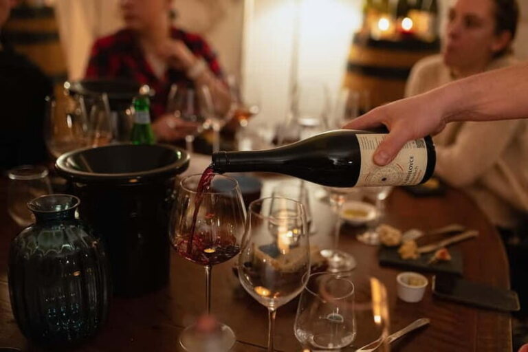 Know Your Wines in Bratislava - A Closer Look at the Experience