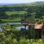 Koloa: Kauais Longest 8-Line Zipline Tour - What’s Included and What to Prepare