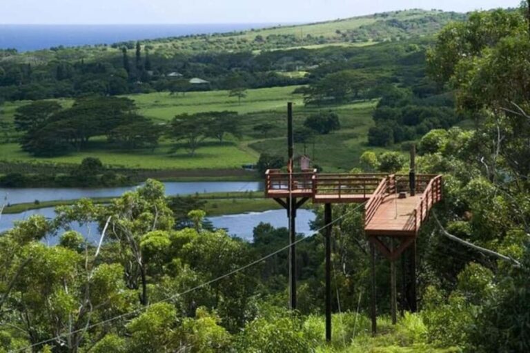 Koloa: Kauais Longest 8-Line Zipline Tour - What’s Included and What to Prepare