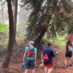 Kona Cloud Forest and Coffee Tour with Sea Turtle Beach Visit - What Makes This Tour Valuable?