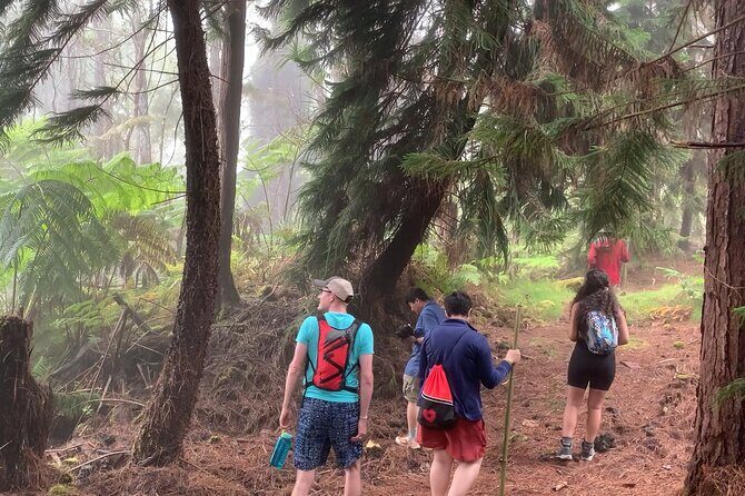 Kona Cloud Forest and Coffee Tour with Sea Turtle Beach Visit - What Makes This Tour Valuable?