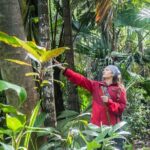 Kona Cloud Forest Sanctuary Pantropical Tour (1.5 hrs) - What Travelers Say: Authentic Insights from Reviews