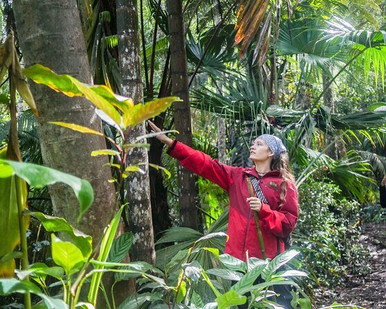 Kona Cloud Forest Sanctuary Pantropical Tour (1.5 hrs) - What Travelers Say: Authentic Insights from Reviews