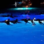 Kona: Manta Ray Night Snorkel Adventure - The Experience in Detail: A Closer Look