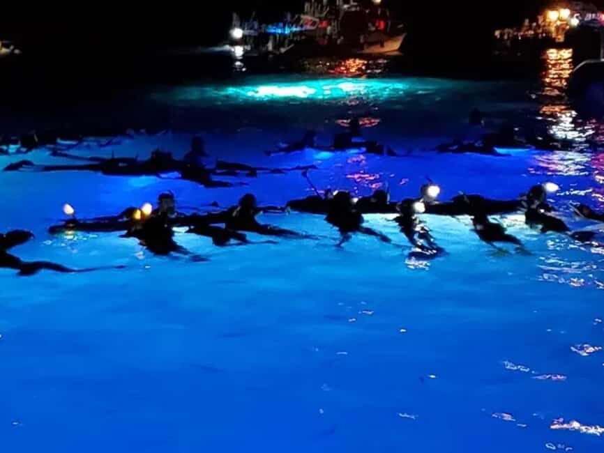 Kona: Manta Ray Night Snorkel Adventure - The Experience in Detail: A Closer Look