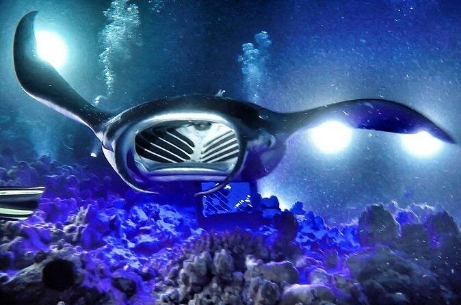 Kona Town Manta Sunset Snorkel - Who Should Consider This Tour?