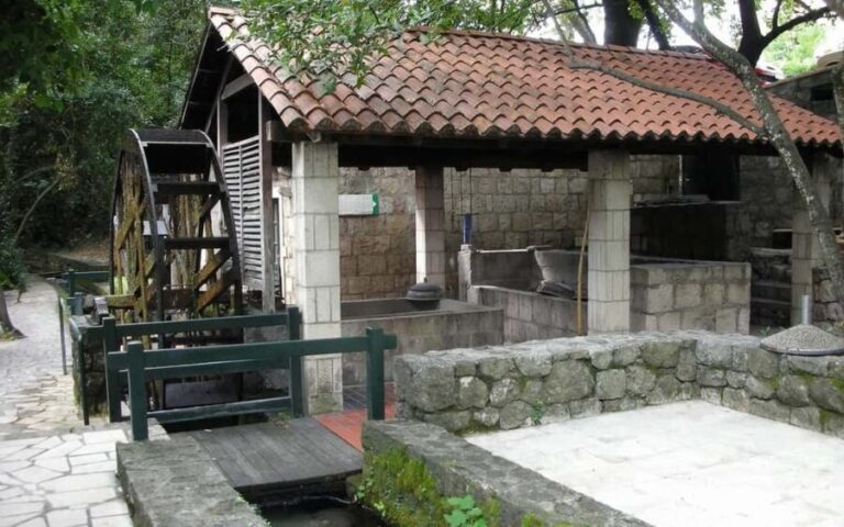 Konavle Valley and Falcon Fortress Half Day Tour with Lunch - A Deep Dive into the Tour Experience