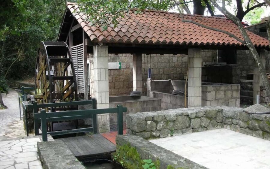 Konavle Valley and Falcon Fortress Half Day Tour with Lunch - A Deep Dive into the Tour Experience