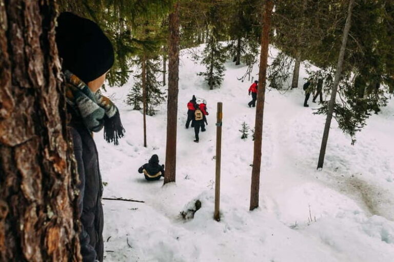 Korouoma Canyon: Frozen Waterfalls Hike & BBQ Experience - What Makes This Tour Stand Out?