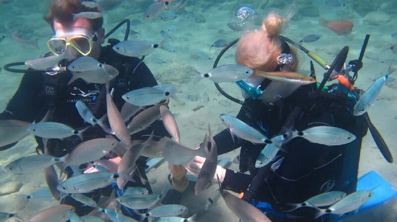 Kos: Beginner Scuba Diving at Pserimos Island - What’s Included and What’s Not