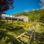 Kosovo: Bear Sanctuary Prishtina, (guided tour & shuttle) - What to Expect and Practical Details