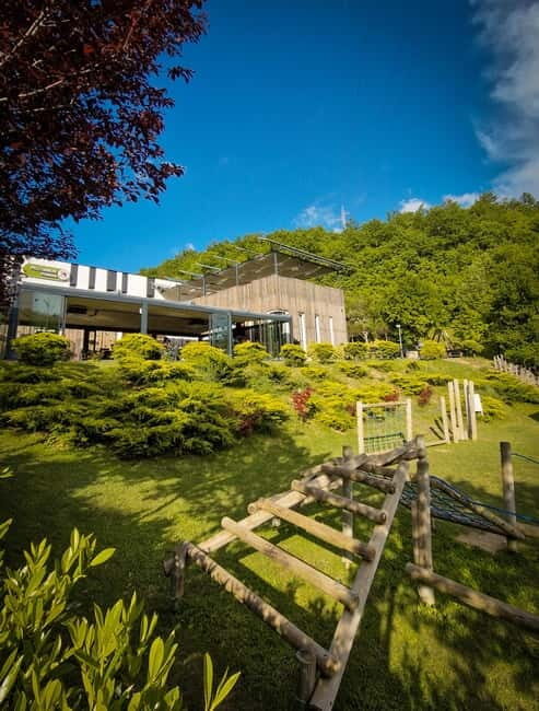 Kosovo: Bear Sanctuary Prishtina, (guided tour & shuttle) - What to Expect and Practical Details