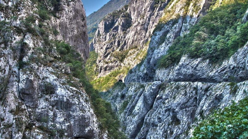 Kotor: Lake Skadar and Biograd Day Trip & Boat Ride - Transportation, Guides, and Overall Value