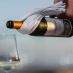 Kotor & Wine: Tasting the Charms Beneath Mount Lovcen - The Heart of the Experience: Wine Tasting at a Family-Run Winery