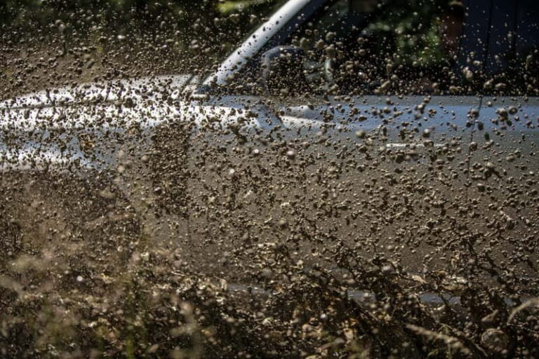 Krakow: 4wd Adventure with Wine Tasting - What To Expect: Practical Tips & Insights