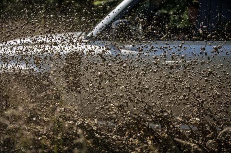 Krakow: 4wd Adventure with Wine Tasting - What To Expect: Practical Tips & Insights