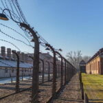 Krakow: Auschwitz-Birkenau Entry Ticket and Transfer - The Practicalities: What’s Included and What to Think About