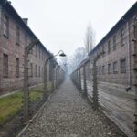 Krakow: Auschwitz-Birkenau Guided Tour or Self-Guided Tour - Who Should Consider This Tour?