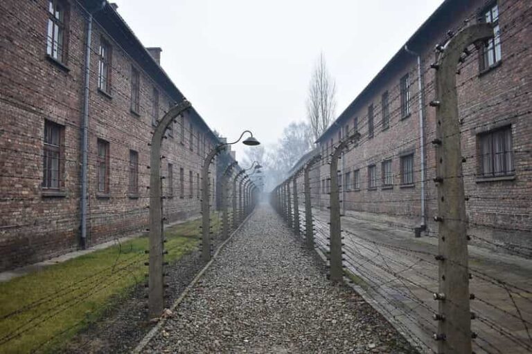 Krakow: Auschwitz-Birkenau Guided Tour or Self-Guided Tour - Who Should Consider This Tour?