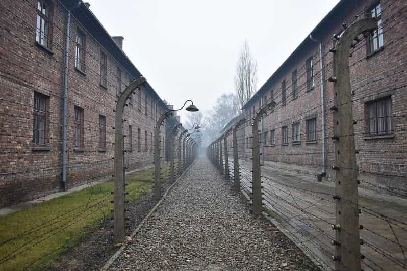 Krakow: Auschwitz-Birkenau Guided Tour or Self-Guided Tour - Who Should Consider This Tour?