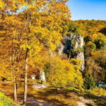 Krakow: Ojcow National Park & Pieskowa Skaa Castle Tour - A Closer Look at the Experience