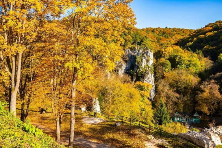 Krakow: Ojcow National Park & Pieskowa Skaa Castle Tour - A Closer Look at the Experience