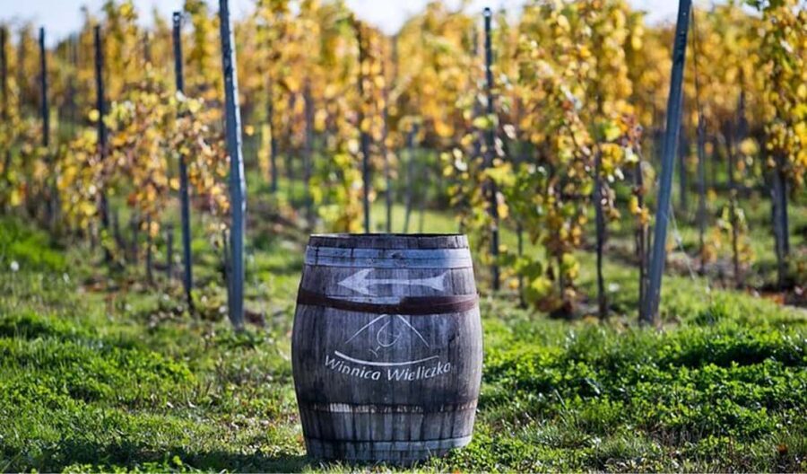 Kraków: Private Lavender Fields & Vineyard Tasting Tour - A Detailed Look at the Tour Experience