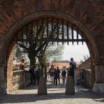 Krakow: Wawel Castle Guided Walking Tour - Authentic Experiences & Real Traveler Feedback