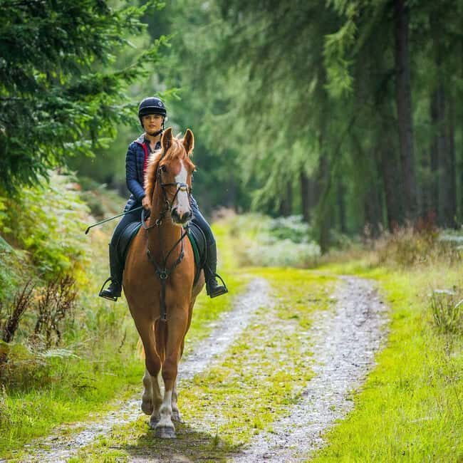 Krakow: Zakopane Horseback Ride & Cheese Tasting & Cable Car - Value and Practical Considerations