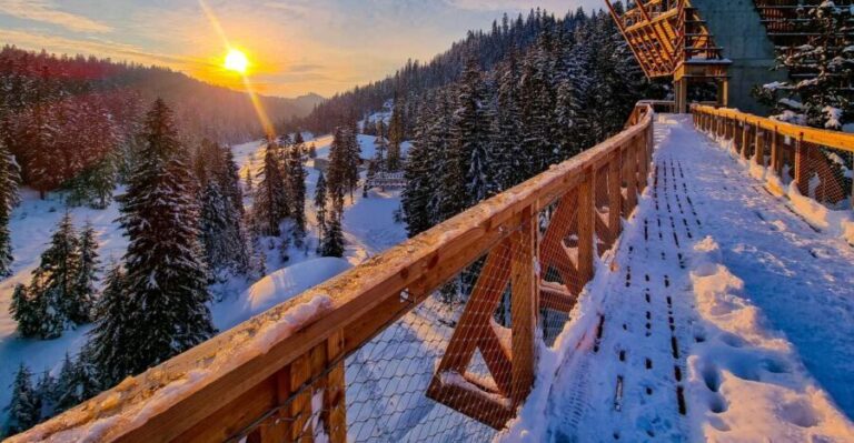 Krakow: Zakopane, Mountains Treetop Walk & Thermal Baths - Who Would Love This Tour?
