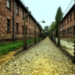 Krakow:Guided Auschwitz-Birkenau Tour - Transport by Minivan - The Experience in Practice