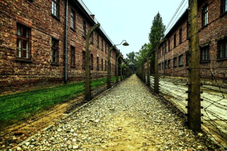 Krakow:Guided Auschwitz-Birkenau Tour - Transport by Minivan - The Experience in Practice