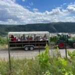 Kröv, Moselle: COVERED WAGON RIDE through the vineyards with wine tasting - An In-Depth Look at the Covered Wagon Tour in Kröv