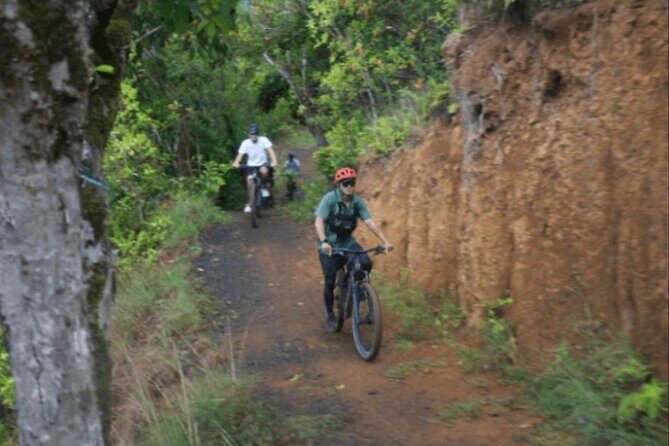 Kualoa Ranch - Ultra E-Bike Tour 3-Hour - Who Should Consider This Tour?