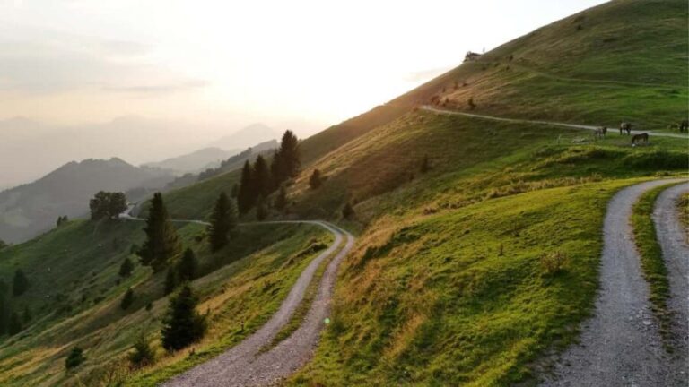 Kufstein: Buggy Alpine Tour with guide, drinks, and drone photos - What’s Included and What to Consider