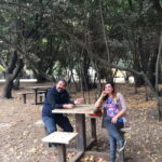 Kusadasi National Park Shinrin Yoku Tour - A Detailed Look at the Kusadasi National Park Shinrin Yoku Tour