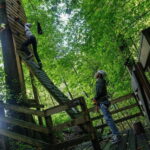 Küssnacht: Ropes Park Rigi Climbing Adventure with Entry Ticket - The Course Variety and What’s on Offer