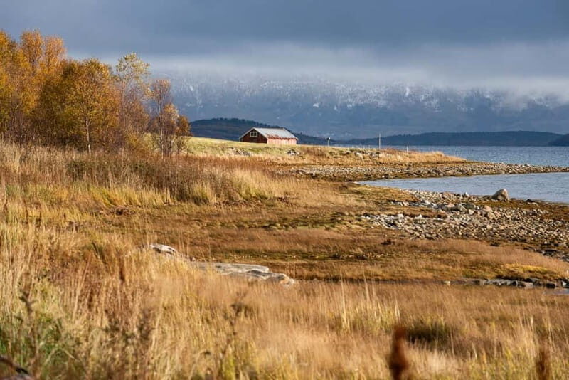 Kvaløya Island: Photography Tour with Snacks - Who Is This Tour Best For?