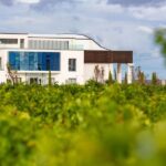 LA CAJA DE PANDORA - Who Should Consider This Tour?