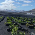 La Geria: a walk among volcanoes and vineyards - FAQ