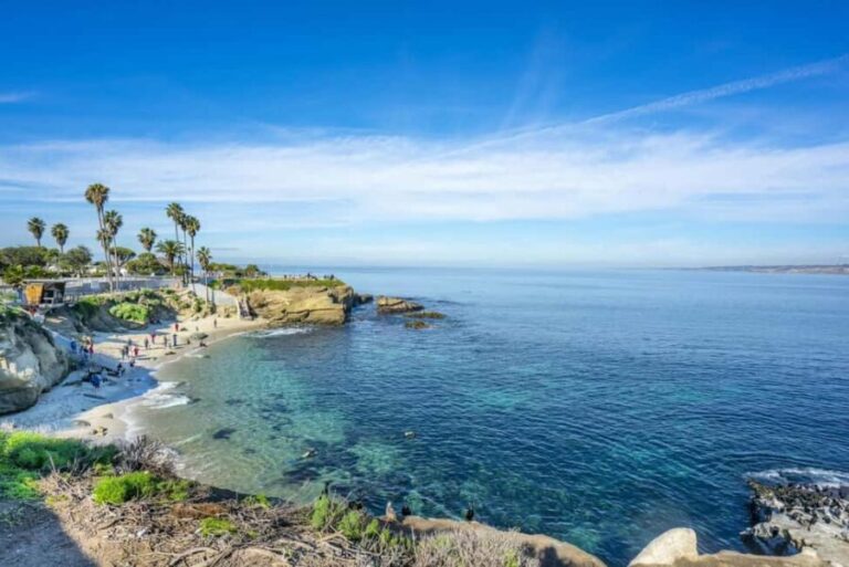 La Jolla: Full-Day Snorkel Gear Rental with Wetsuit Option - What To Expect on Your Snorkeling Day